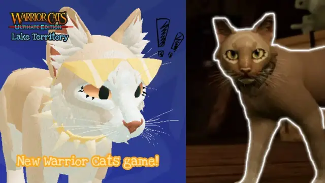 Warrior Cats Lake Territory Teaser: Breakdown & Release Info